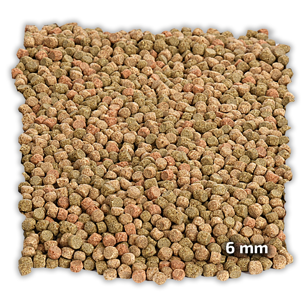 Koi Spezial Futtermix Large über 15°C