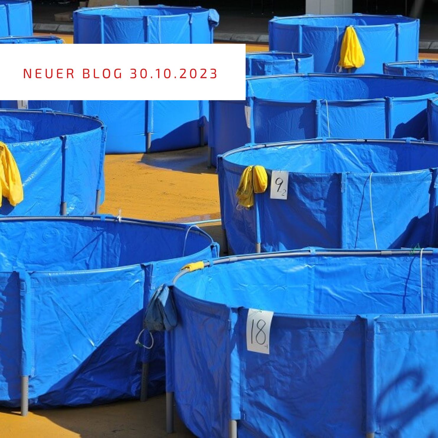 2023_10_31_Wieso sind Quarantänebecken meistens rund