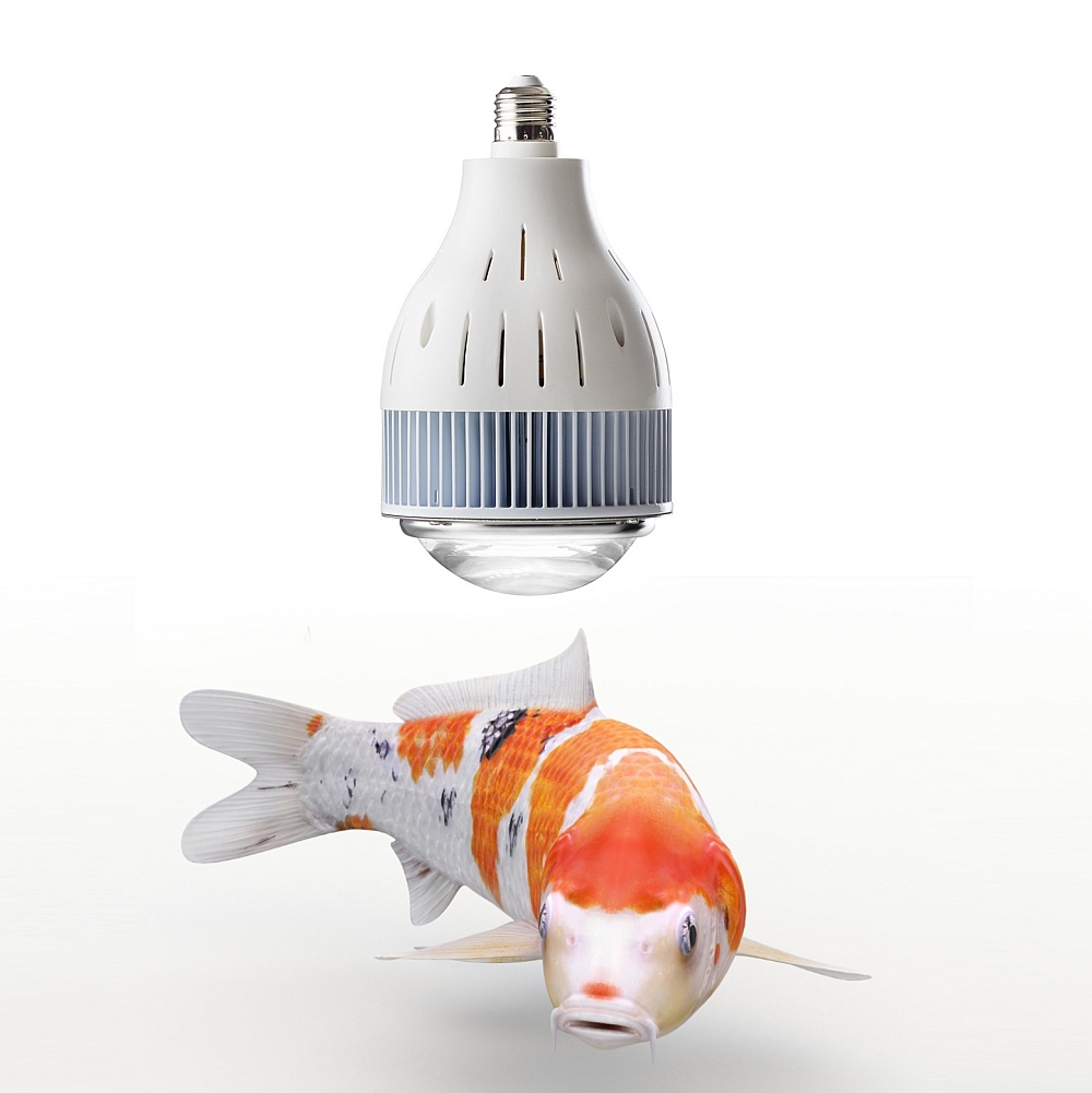 FlexBeam Koi Edition 150 Watt 