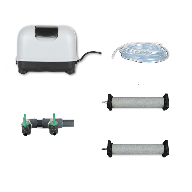 Komplettangebot Dong Yang 20