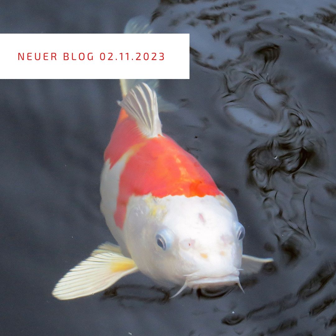 2023_11_02_Bedeutung der WinterpflegeNEU