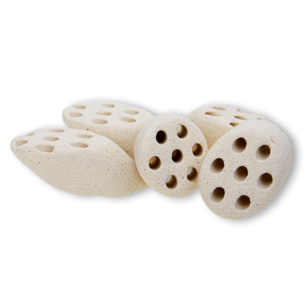 MOUNTAIN TREE Lotus-Wurzel Nitroring