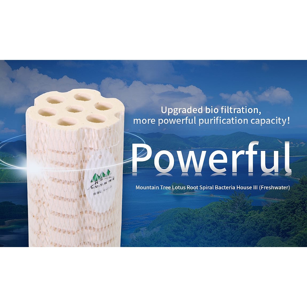 MOUNTAIN TREE Bakterienhaus III 8 x 25cm 12 Stück