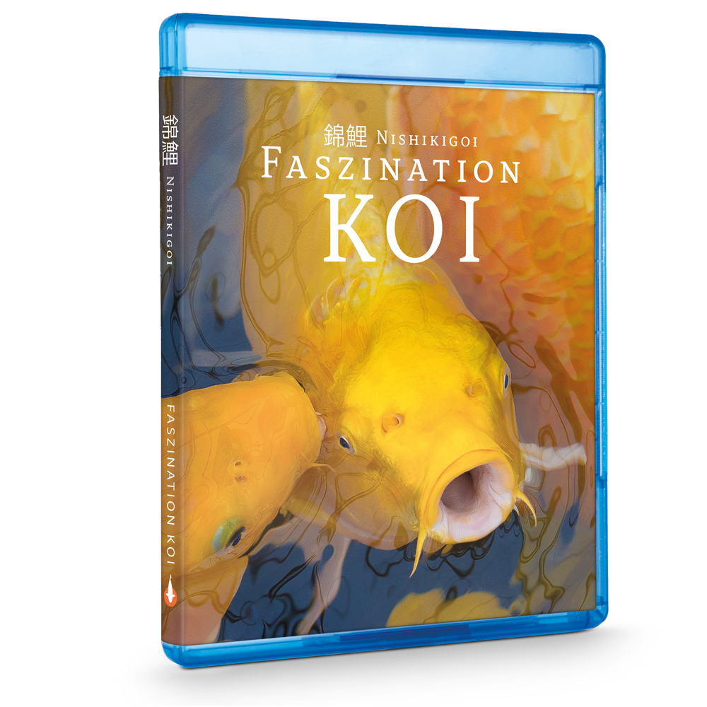 Nishikigoi | Faszination Koi - BluRay Teil 1