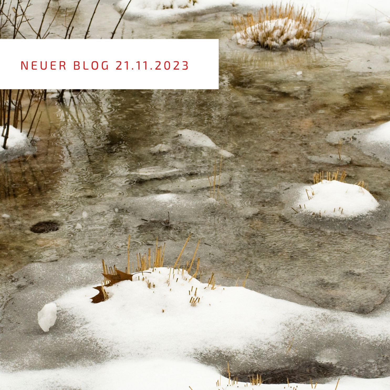 2023_11_21_Tiefer sollte die Temperatur nicht werden